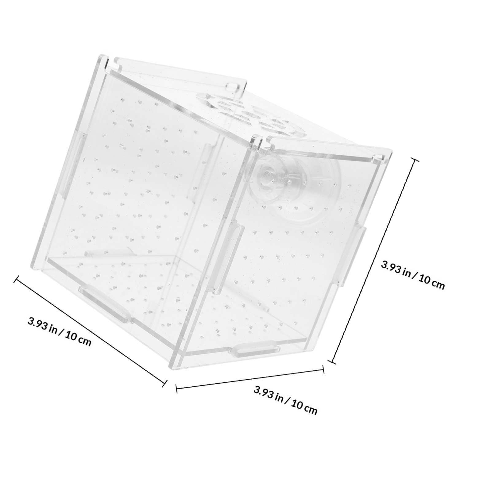 Fish Breeding Isolation Box Cl - Fish Toy In Aquarium ulasan dan harga