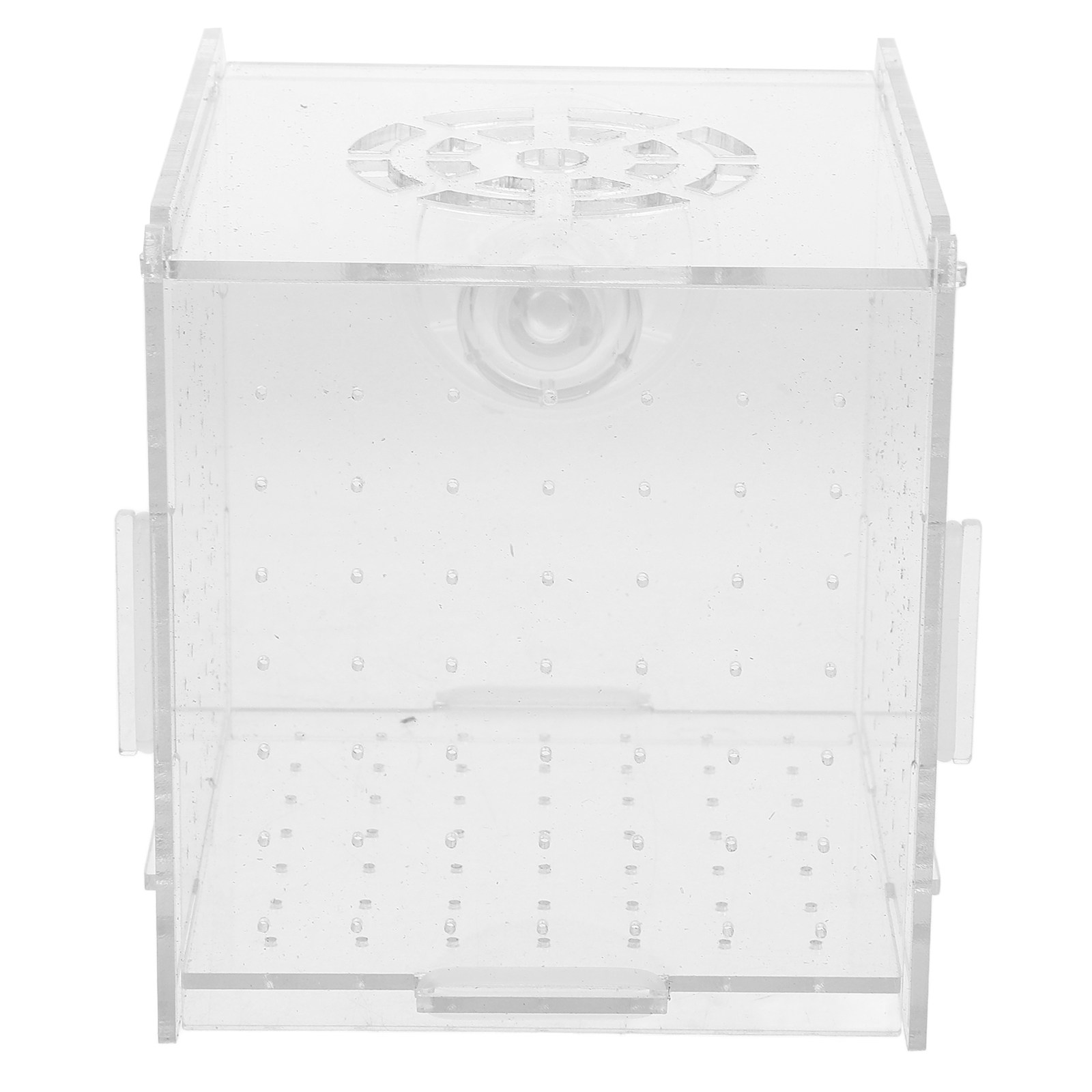 Fish Breeding Isolation Box Cl - Fish Toy In Aquarium ulasan dan harga