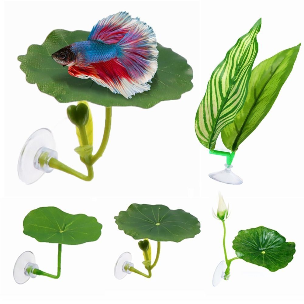 Plastic Betta Fish Rest Leaf S - Aquarium Fish Game ulasan dan harga