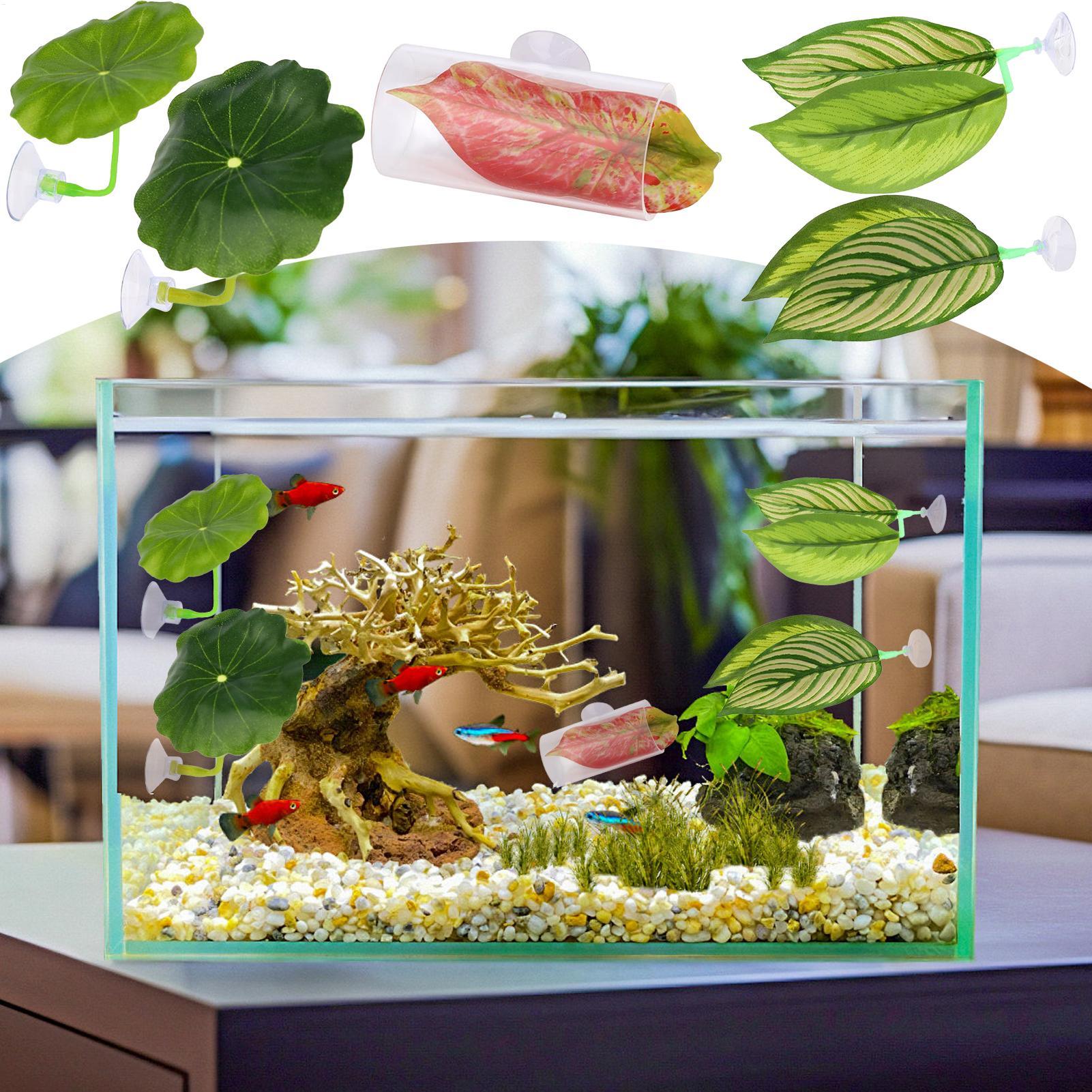 Betta Fish Hammock 5 Pieces Ad - Fish Toys For Aquarium ulasan dan harga