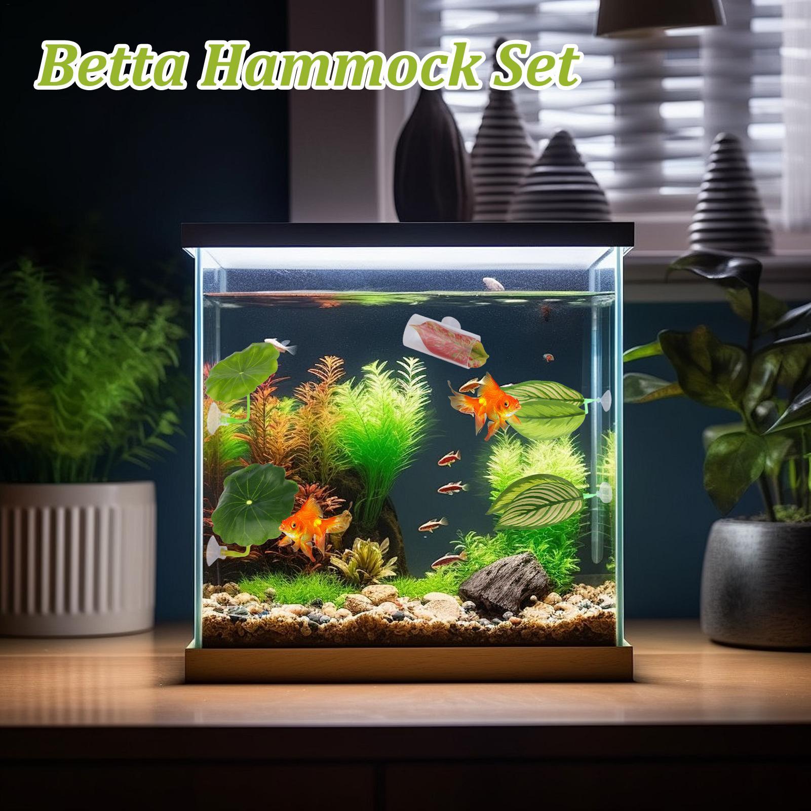 Betta Fish Hammock 5 Pieces Ad - Fish Toys For Aquarium ulasan dan harga