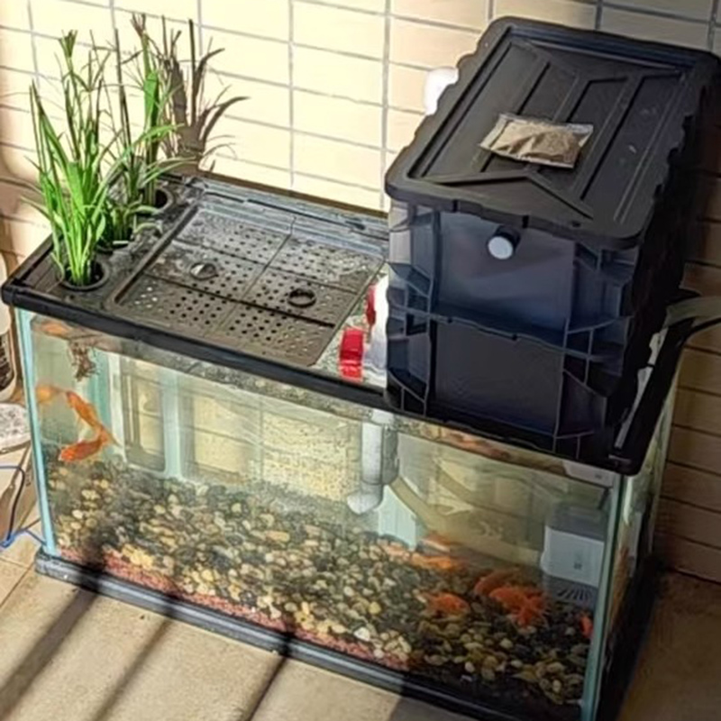 Fish Tank Filters Aquarium Tur - Box Fish In Aquarium ulasan dan harga