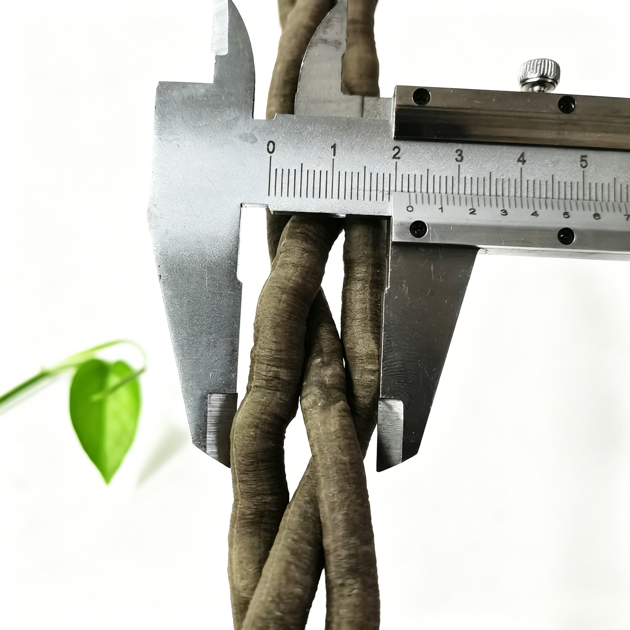 100cm Artificial Vine Fake Pla - Aquarium Fish Names ulasan dan harga