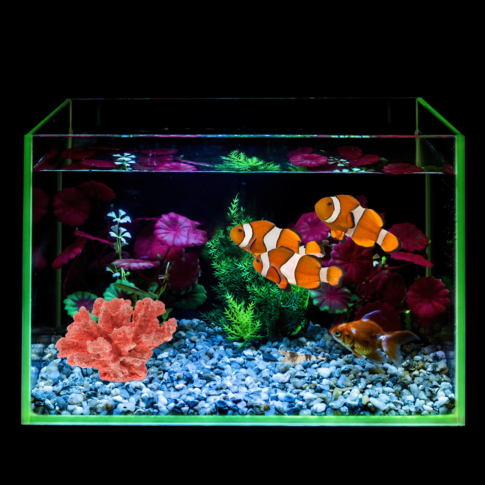 Resin Coral Decor for Aquarium - Aquarium Fish Beautiful ulasan dan harga