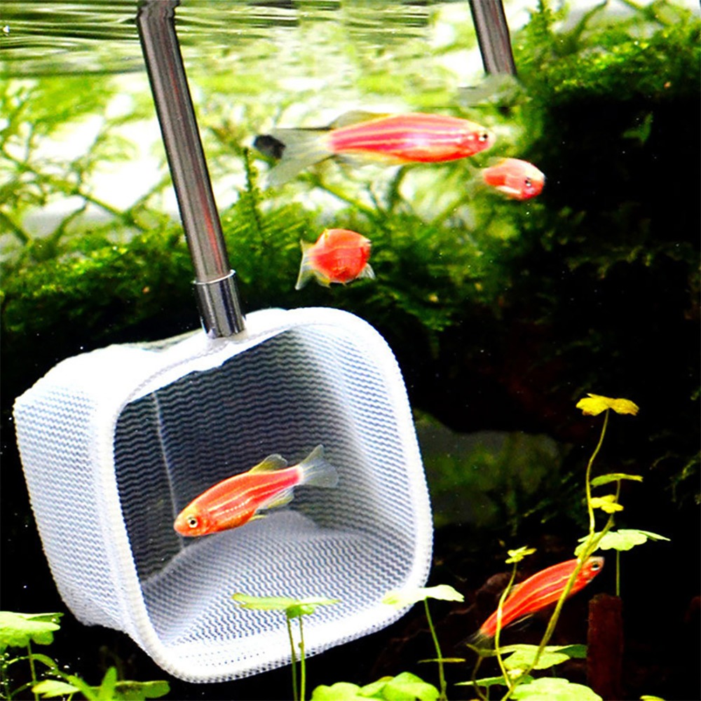 Stainless Steel Handle Extenda - Aquarium Fish Net ulasan dan harga