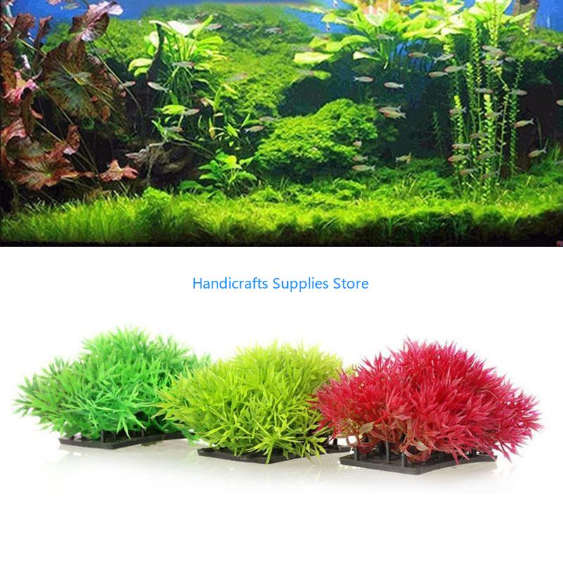 R1WA Aquatic Plants Lawn for F - Aquarium Fish Beautiful ulasan dan harga