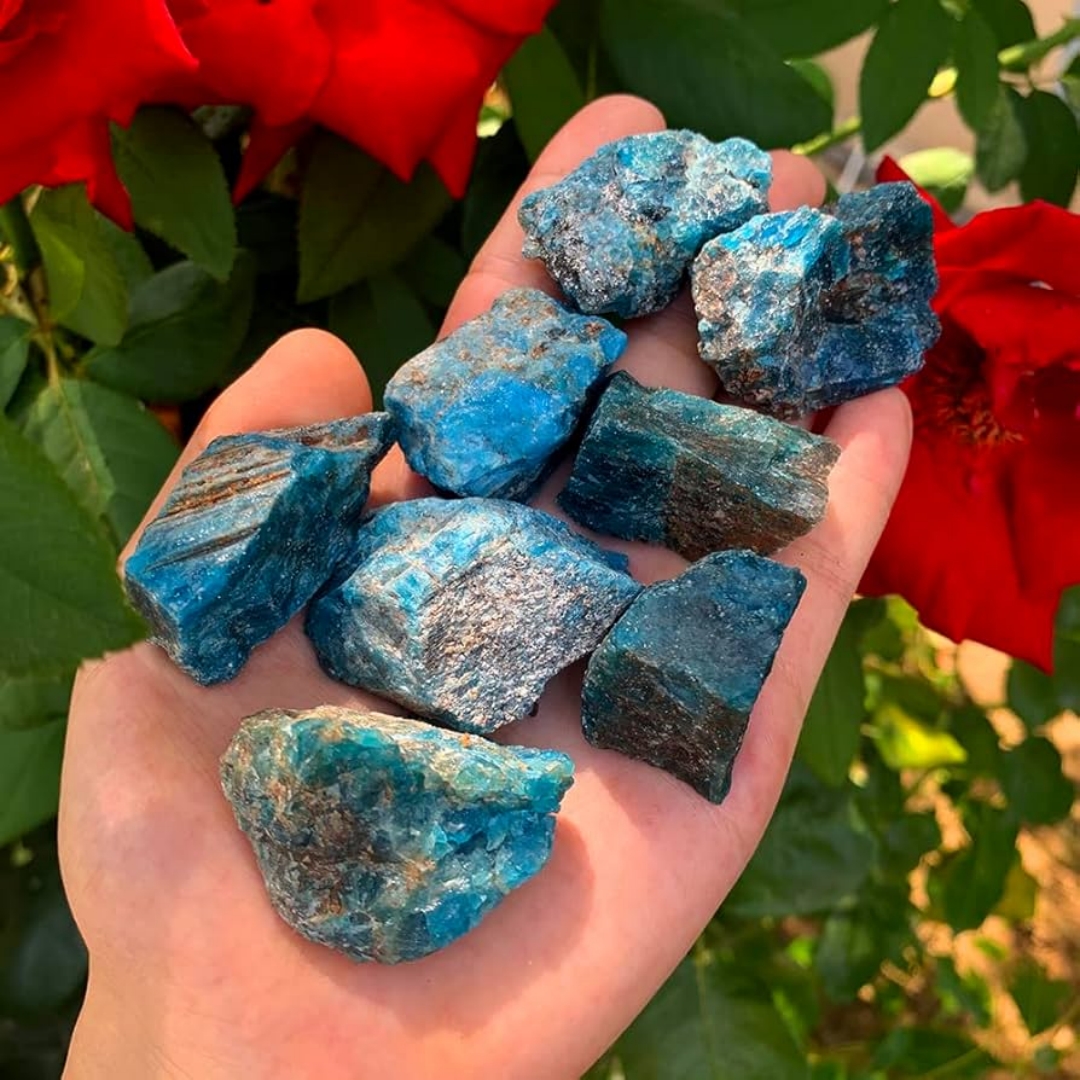 40g/120g/240g Natural Blue Apa - Aquarium Fish Names ulasan dan harga