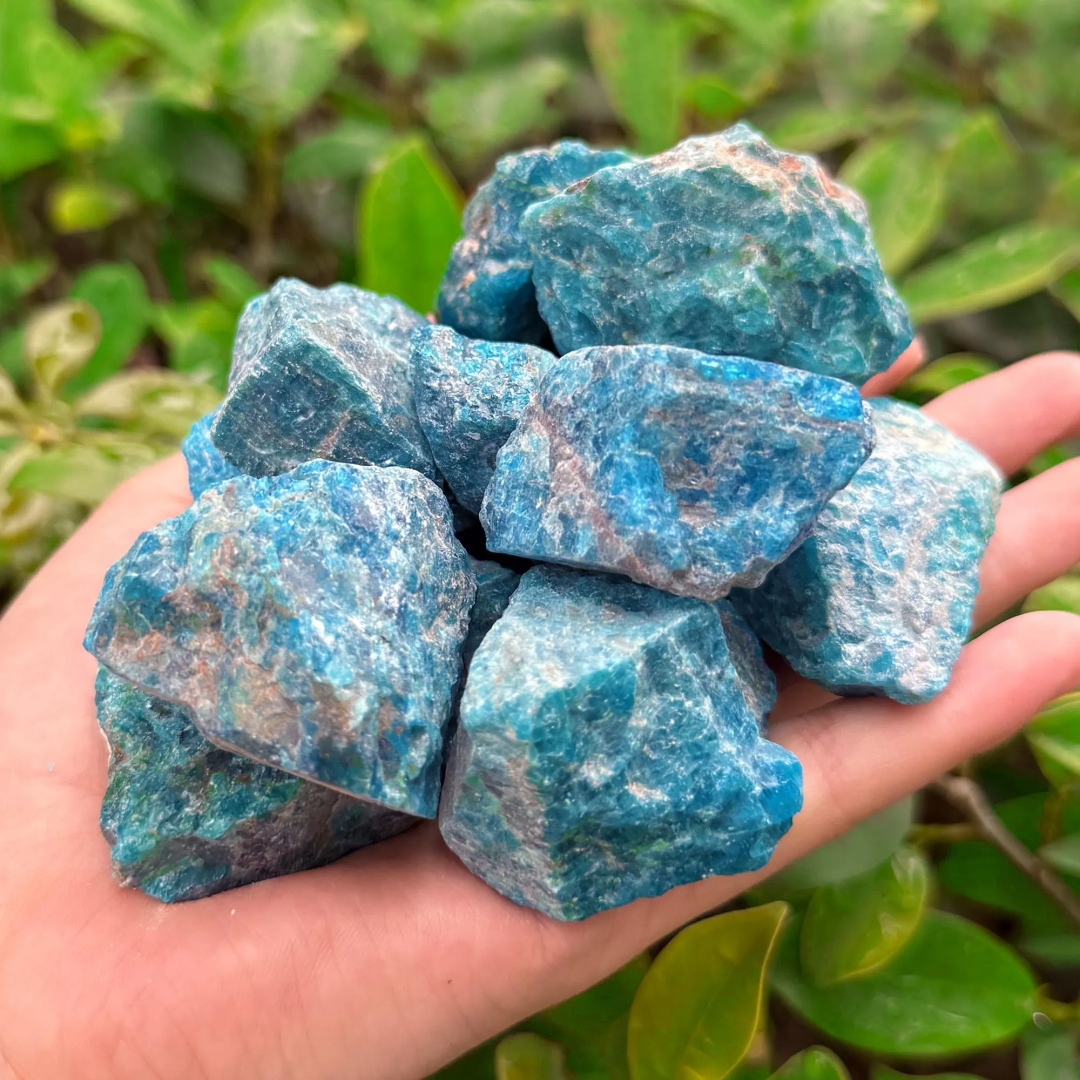 40g/120g/240g Natural Blue Apa - Aquarium Fish Names ulasan dan harga