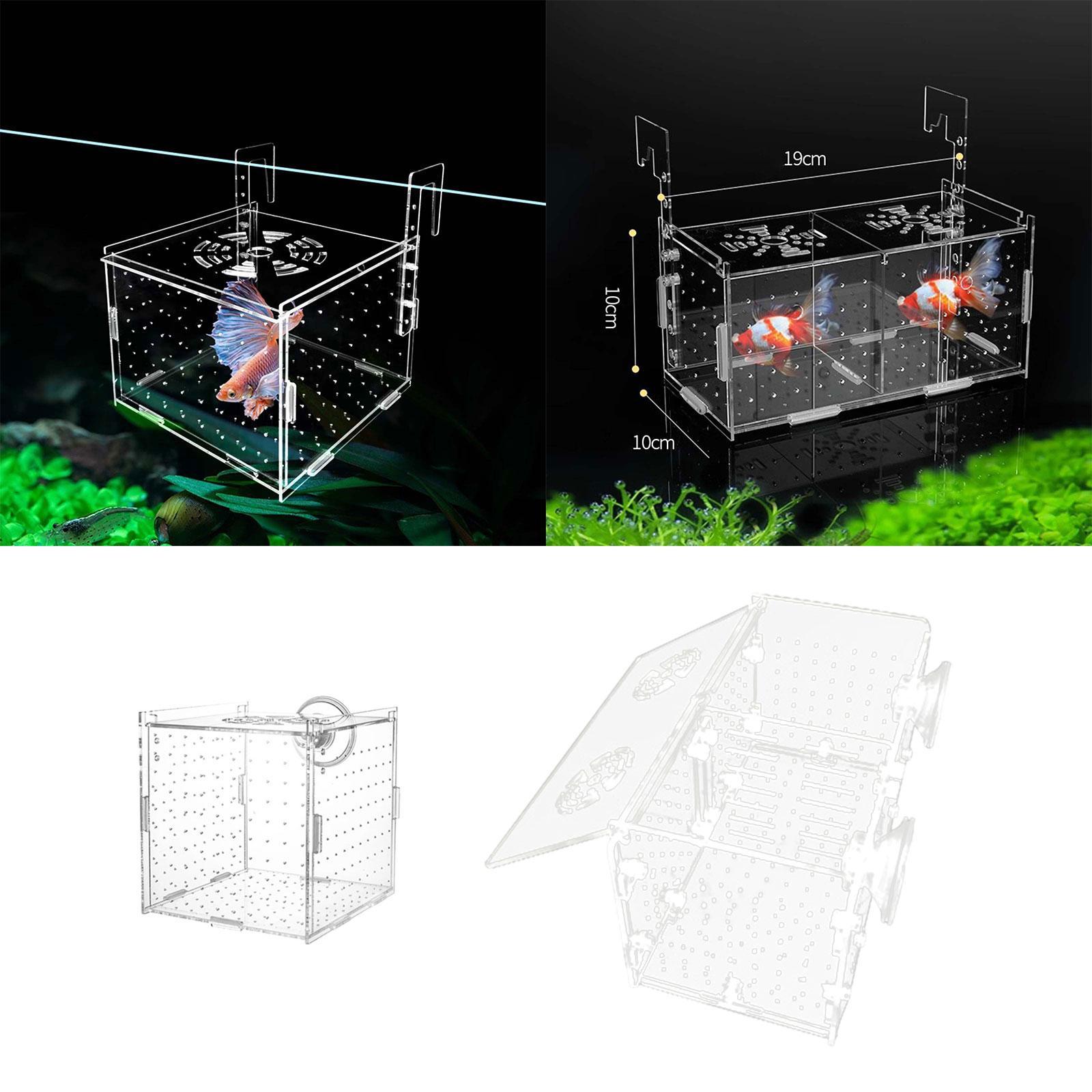 Fish Breeding Box for Aquarium - Fish Toy In Aquarium ulasan dan harga