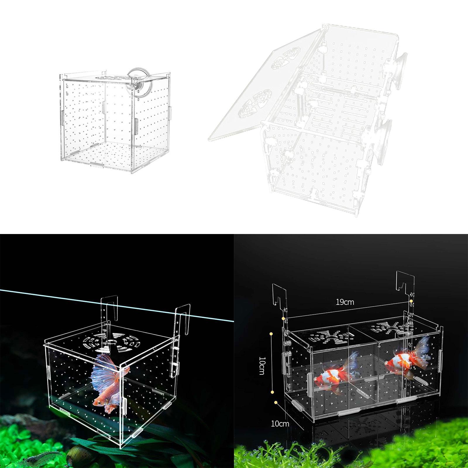 Fish Breeding Box for Aquarium - Fish Toy In Aquarium ulasan dan harga