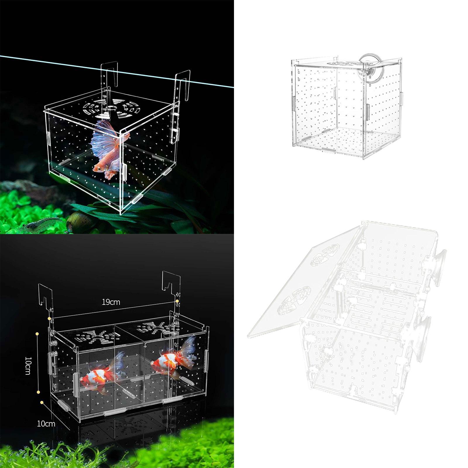 Fish Breeding Box for Aquarium - Fish Toy In Aquarium ulasan dan harga