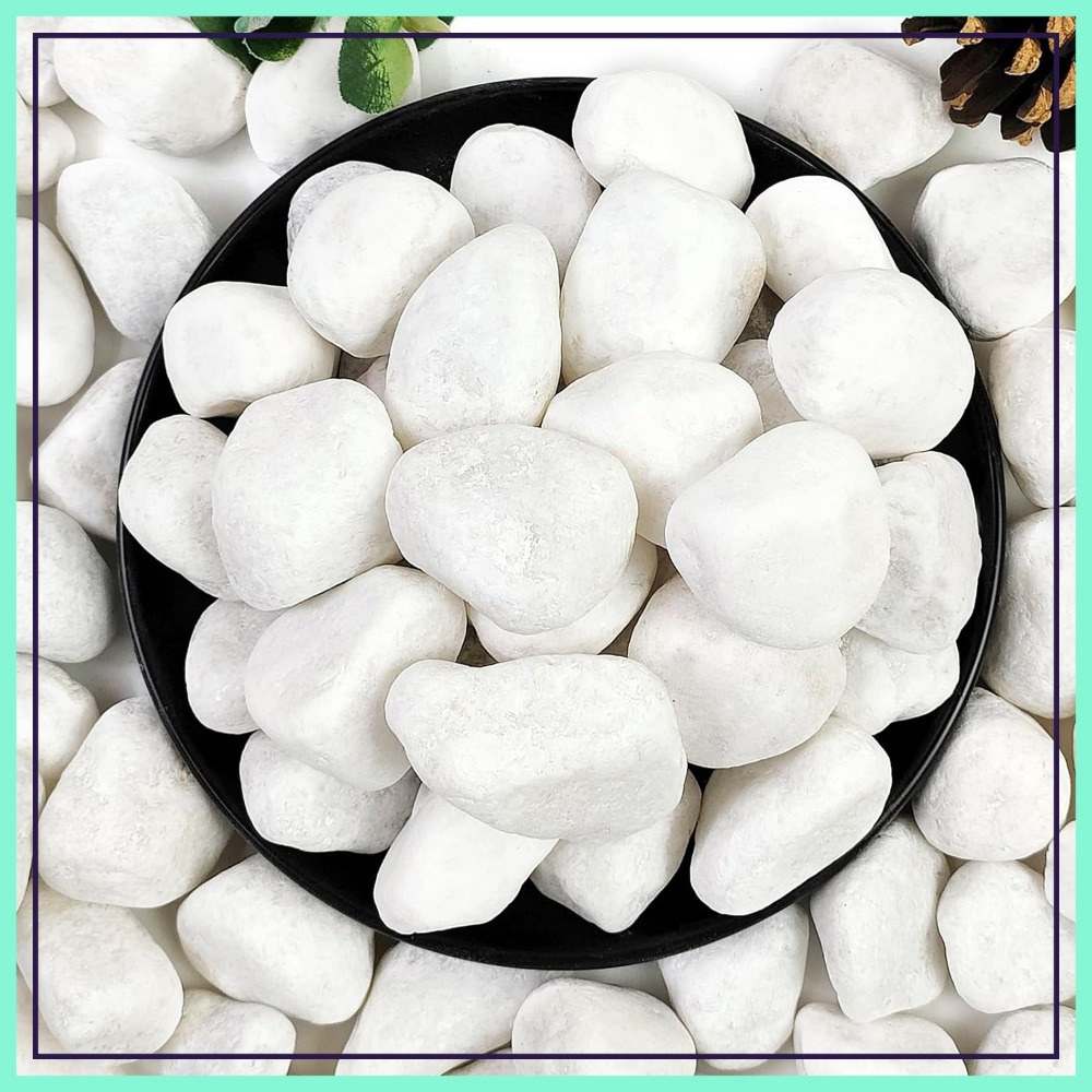 1-2 Inch White Pebbles for Ind - Aquarium Fish Names ulasan dan harga