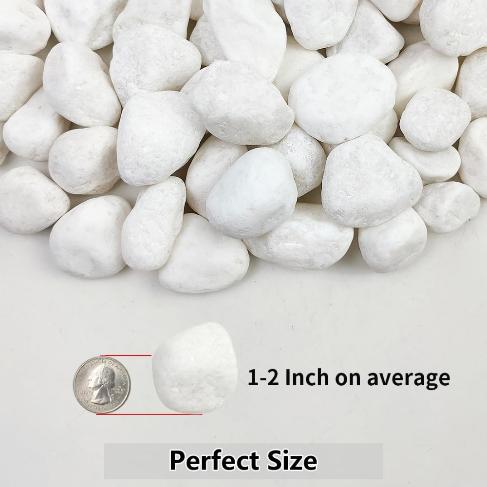 1-2 Inch White Pebbles for Ind - Aquarium Fish Names ulasan dan harga