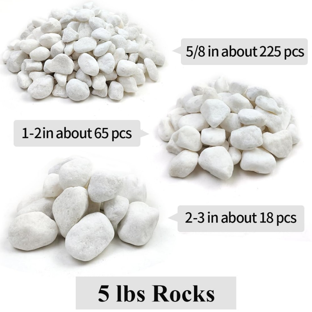 1-2 Inch White Pebbles for Ind - Aquarium Fish Names ulasan dan harga