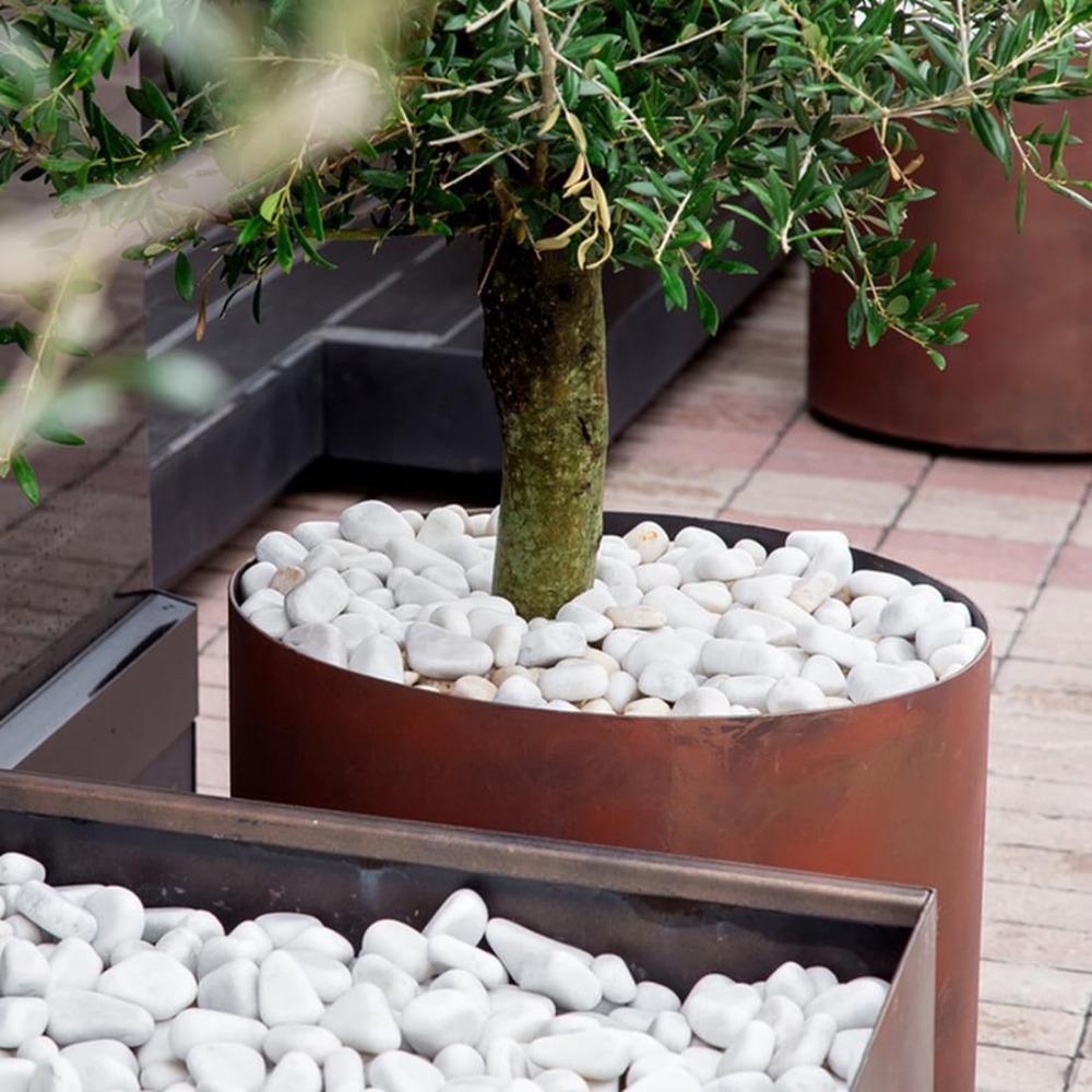 1-2 Inch White Pebbles for Ind - Aquarium Fish Names ulasan dan harga