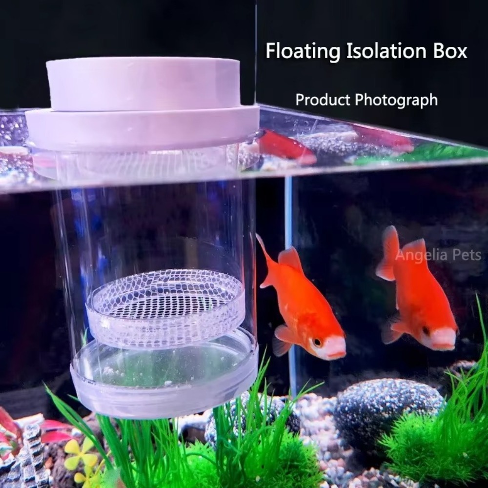 Plastic Floating Fish Breeding - Box Fish In Aquarium ulasan dan harga