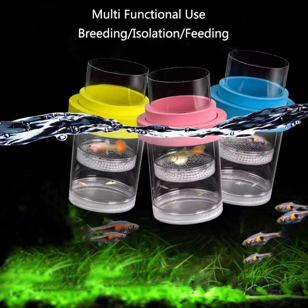 Plastic Floating Fish Breeding - Box Fish In Aquarium ulasan dan harga