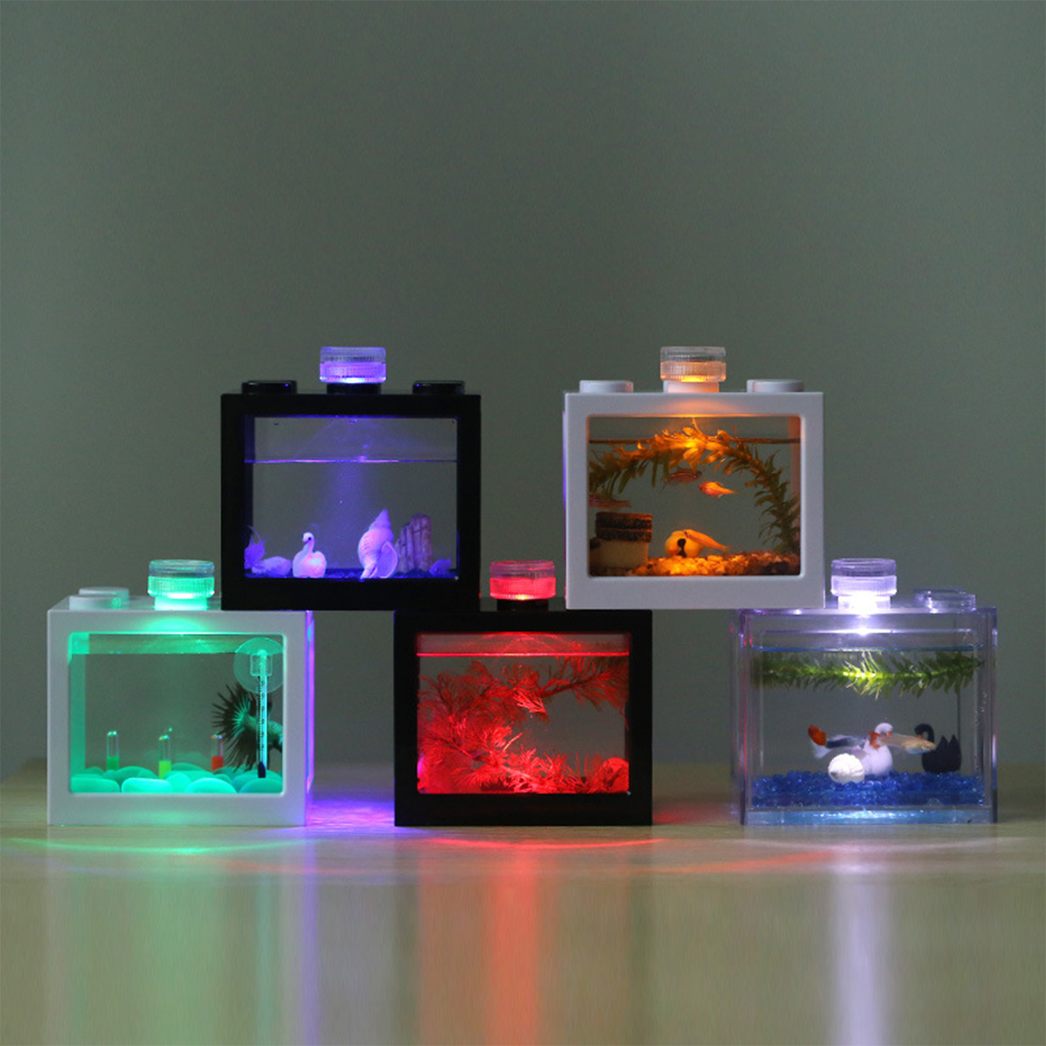Plastic Betta Fish Tank  Aquar - Box Fish In Aquarium ulasan dan harga