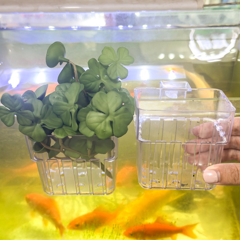 1/5pcs Aquarium Decoration Pla - Box Fish In Aquarium ulasan dan harga