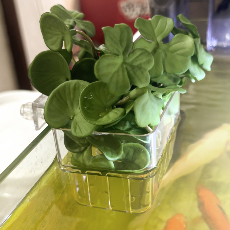 1/5pcs Aquarium Decoration Pla - Box Fish In Aquarium ulasan dan harga