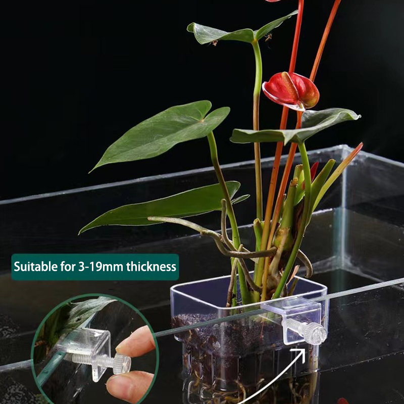 Multifunctional Fish Aquarium  - Box Fish In Aquarium ulasan dan harga