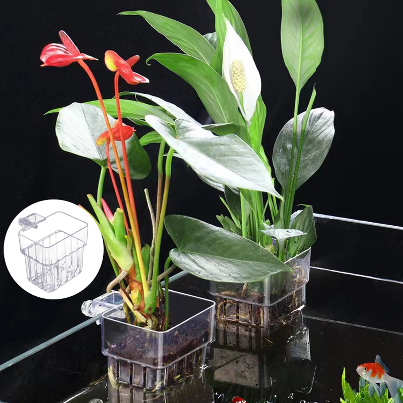 Multifunctional Fish Aquarium  - Box Fish In Aquarium ulasan dan harga