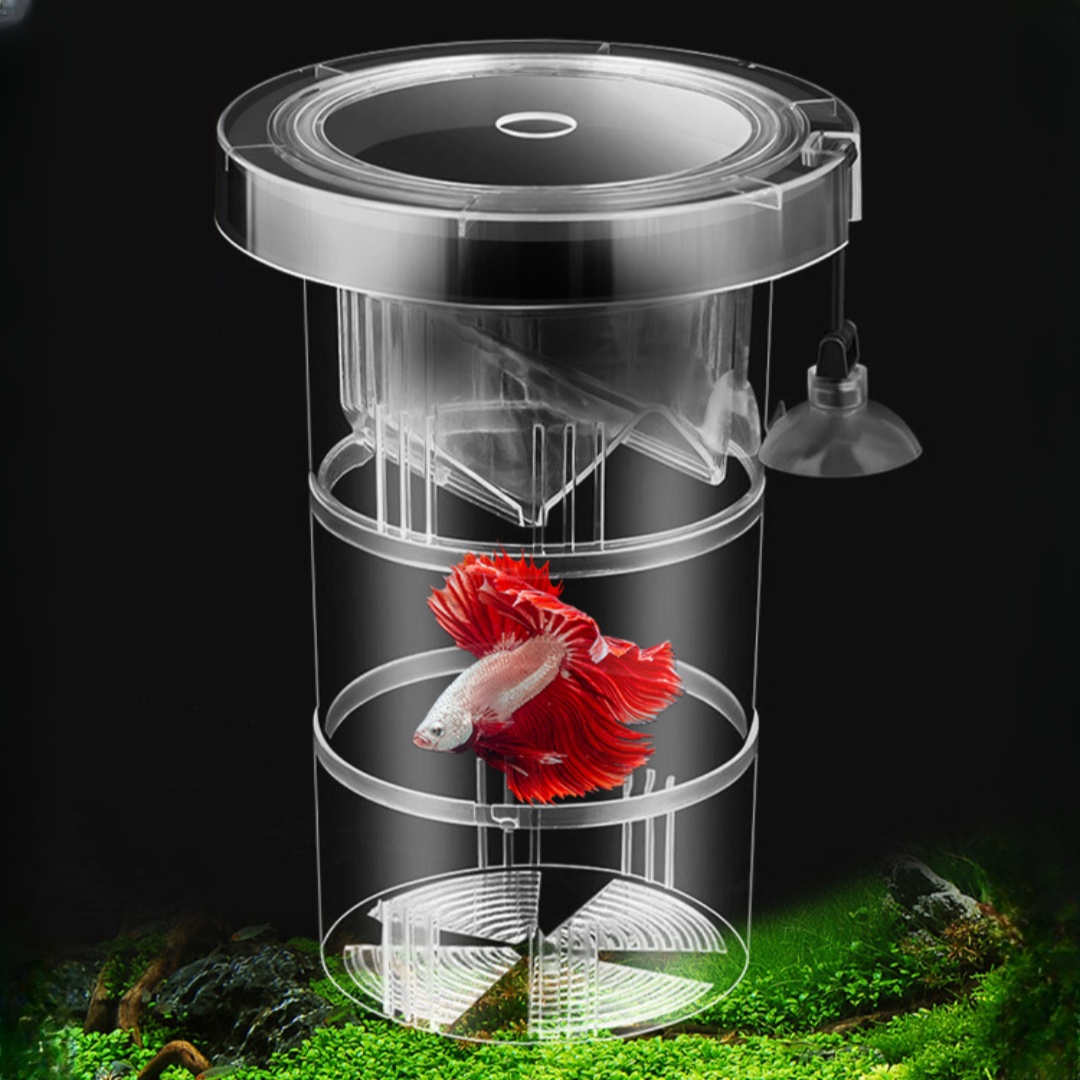 Acrylic Floating Fish Breeding - Box Fish In Aquarium ulasan dan harga
