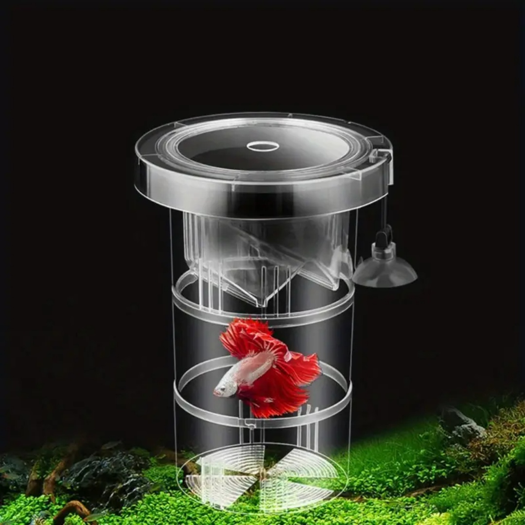 Acrylic Floating Fish Breeding - Box Fish In Aquarium ulasan dan harga