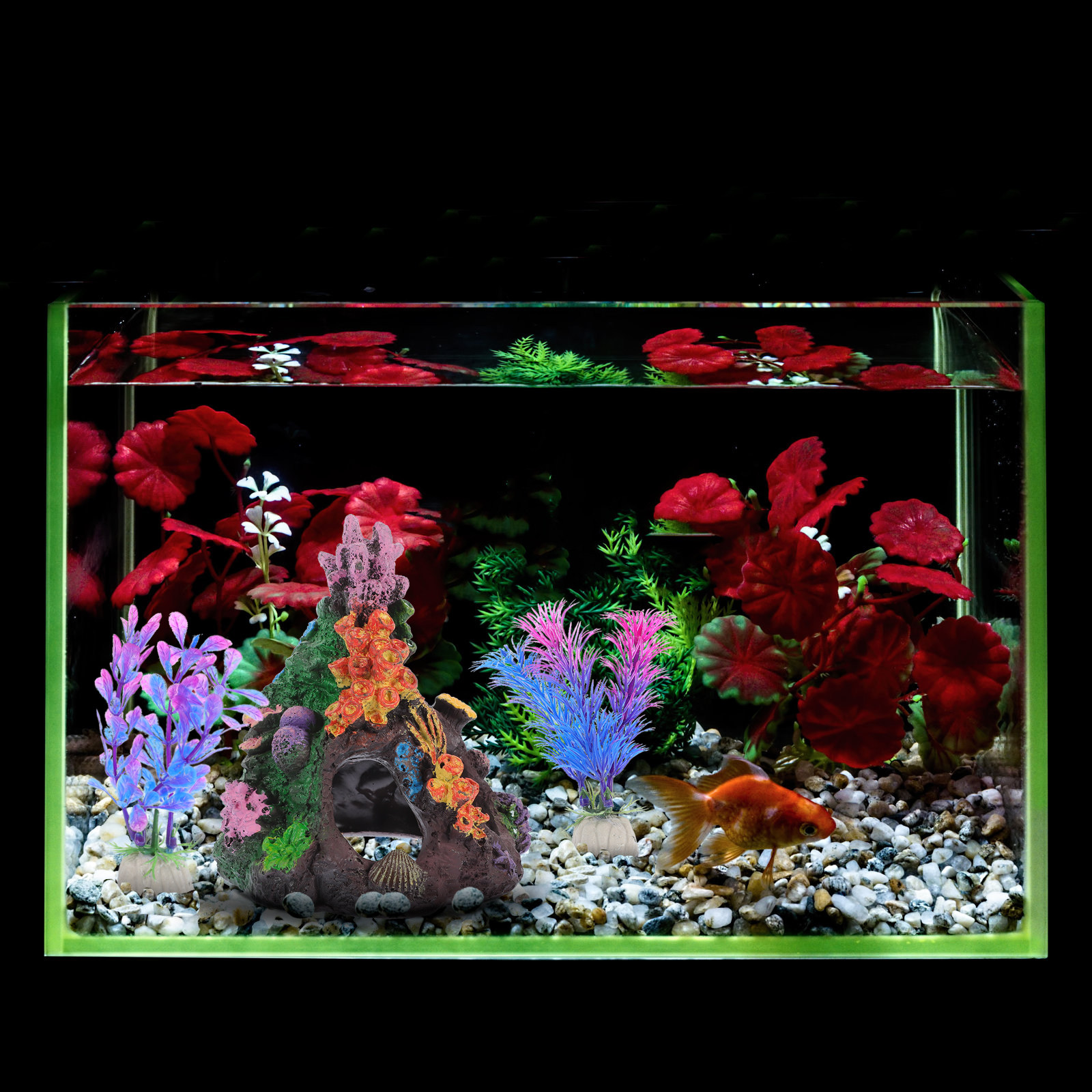 5Pcs DIY Aquarium Coral and Fa - Aquarium Fish Beautiful ulasan dan harga