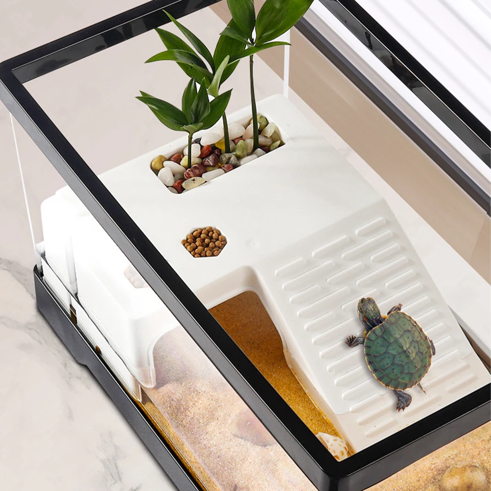 Large Transparent Turtle Tank  - Box Fish In Aquarium ulasan dan harga