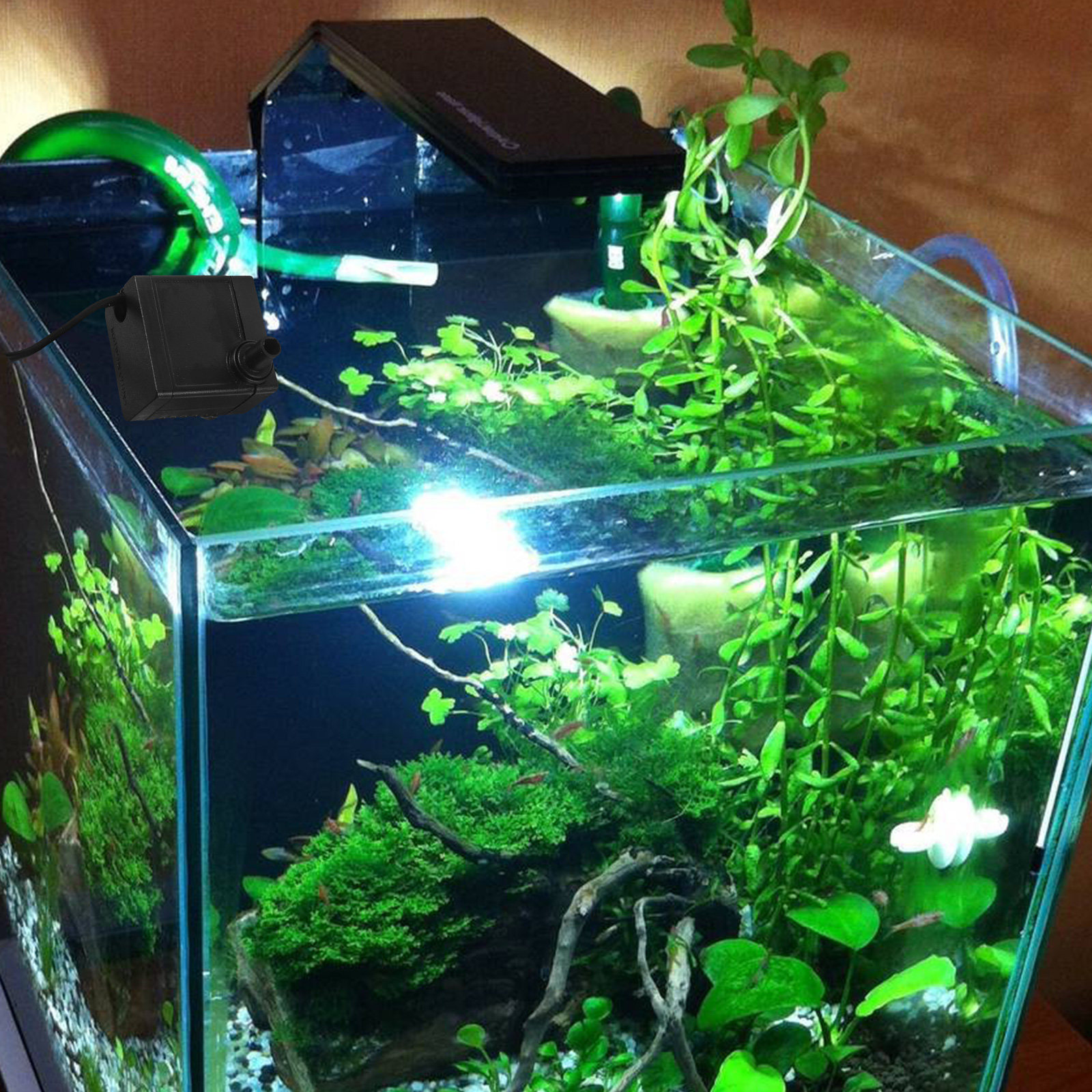 Ac 220V 5W Submersible Water P - Aquarium Fish Rate ulasan dan harga