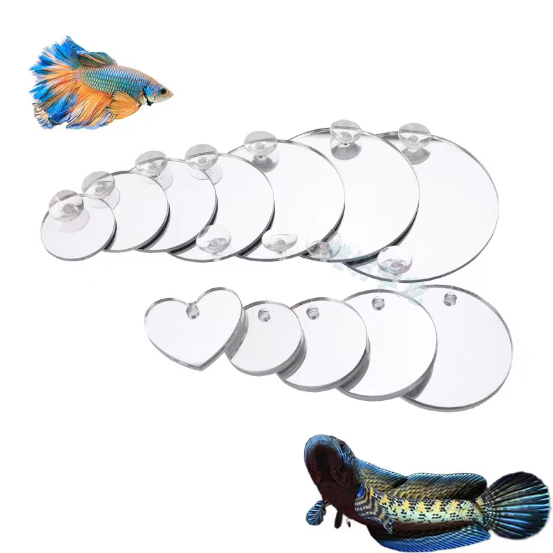 Aquarium Betta Mirror Fish Tan - Aquarium Fish Game ulasan dan harga