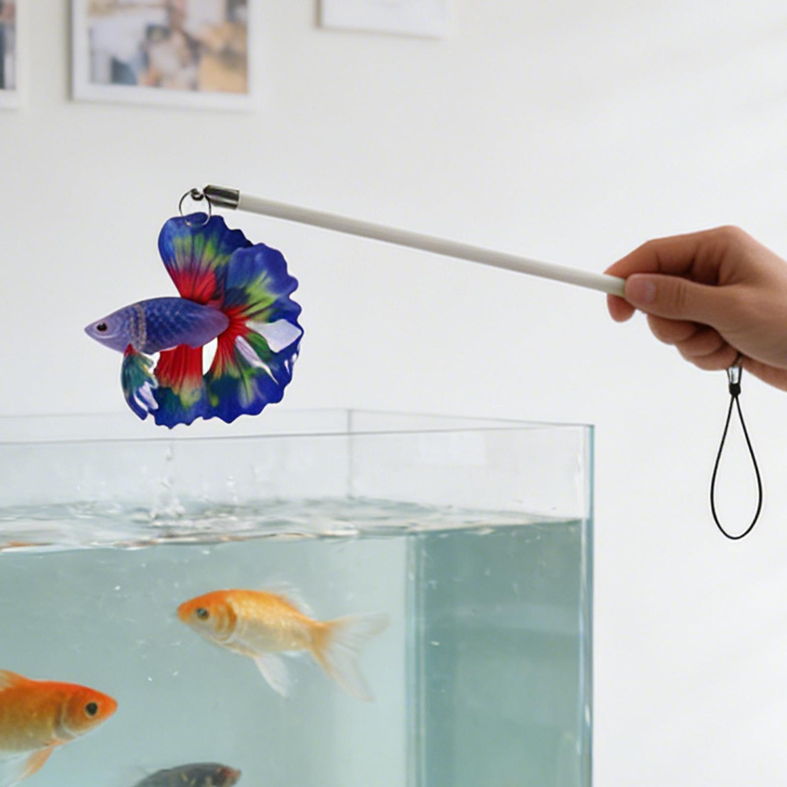 Fish Training Stick Realistic  - Aquarium Fish Game ulasan dan harga