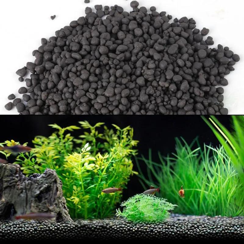 1kg Watergrass Aquarium Plants - Aquarium Fish Beautiful ulasan dan harga