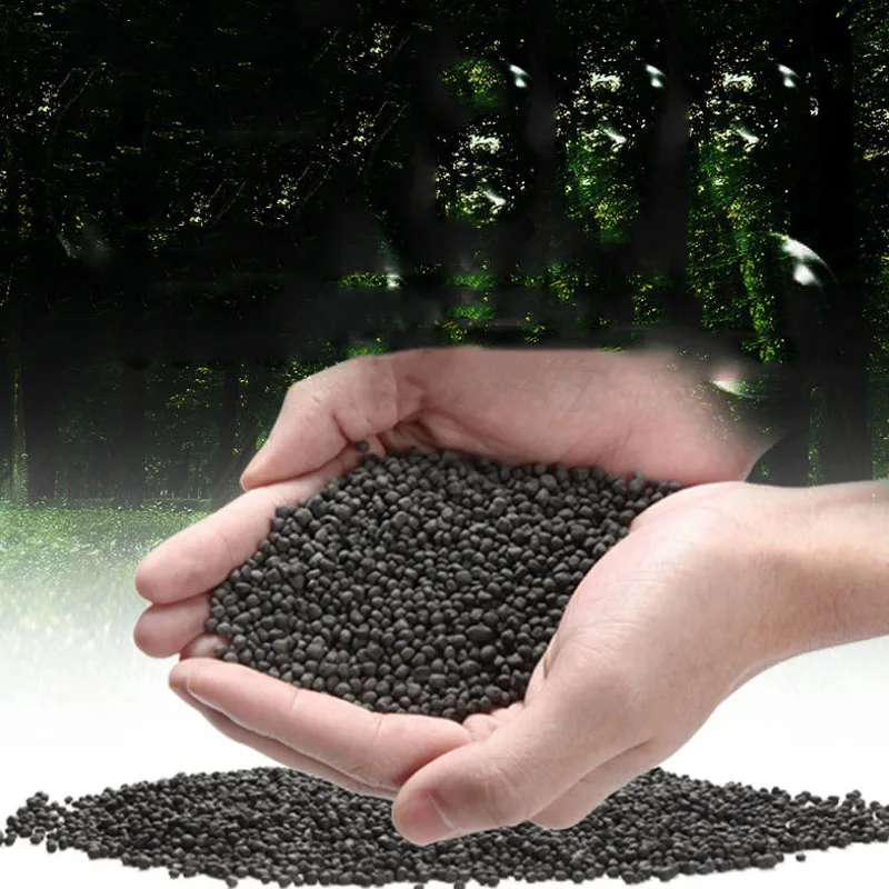 1kg Watergrass Aquarium Plants - Aquarium Fish Beautiful ulasan dan harga